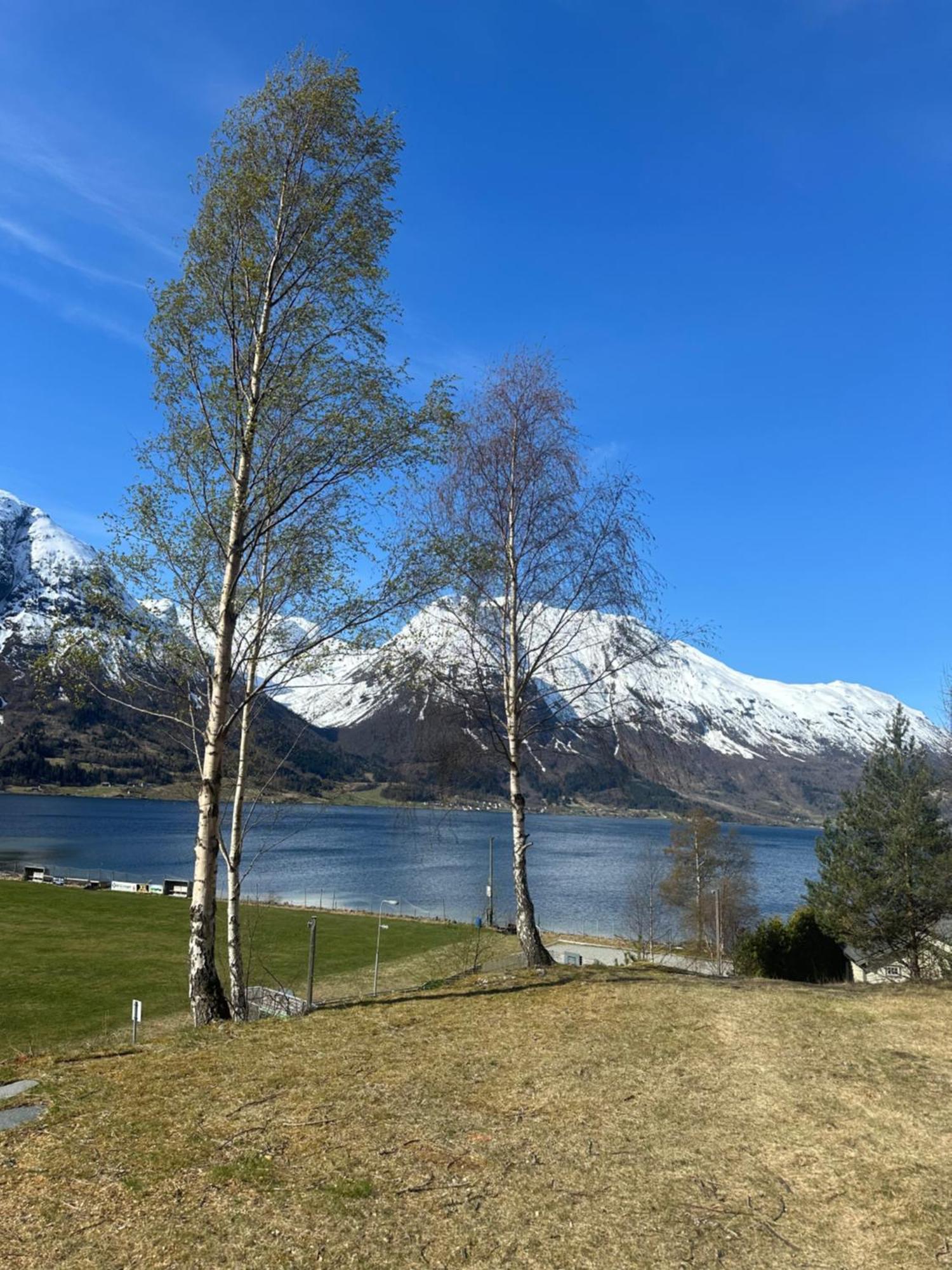 Vollsnes Feriehus Villa Hjelle Esterno foto